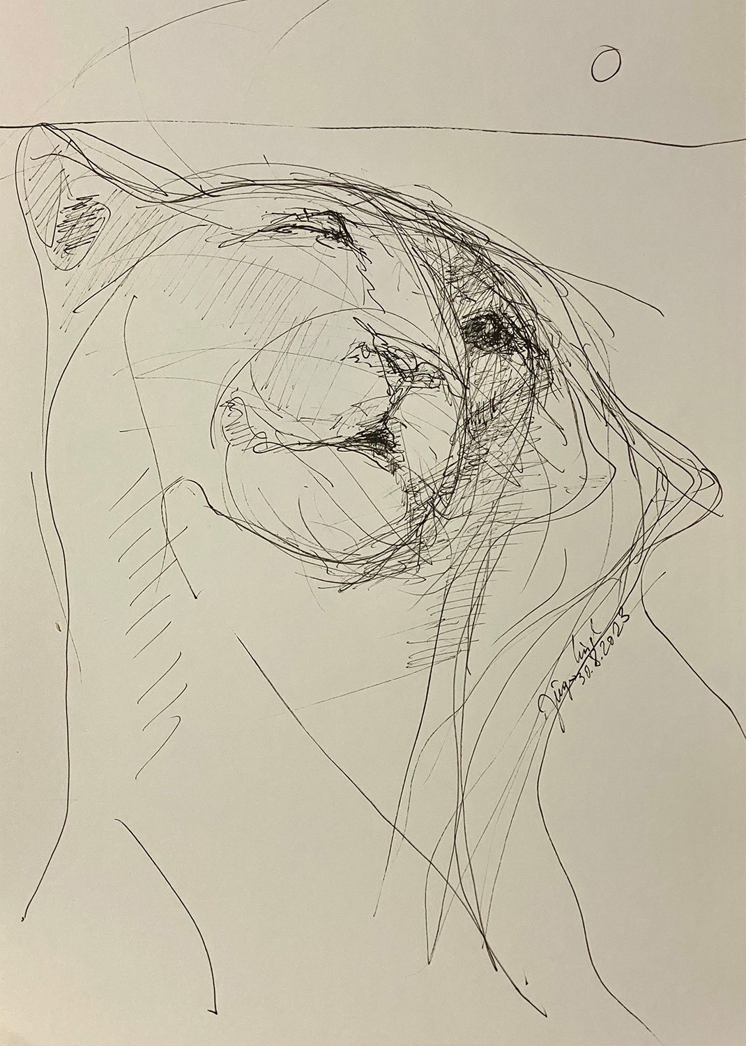 Untitled Drawing 2023 (8)