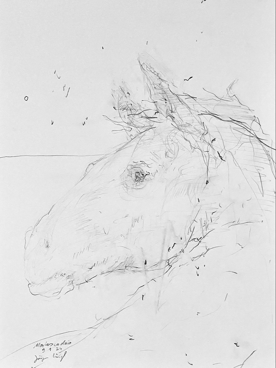 Untitled Drawing 2024 (4)