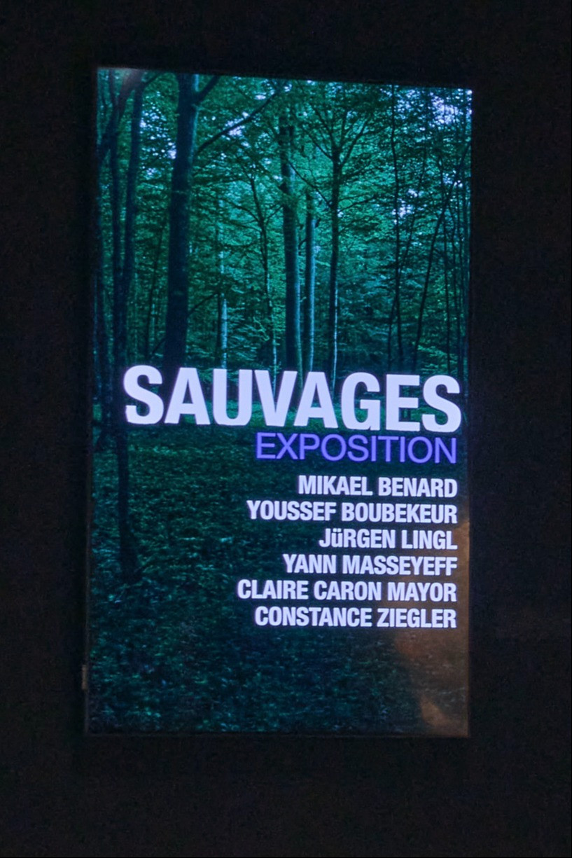 Group Exhibition Sauvage (1)
