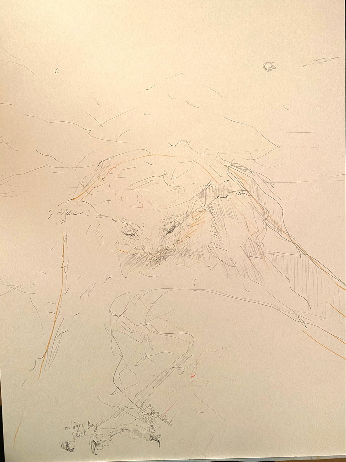 Untitled Drawing 2024 (16)
