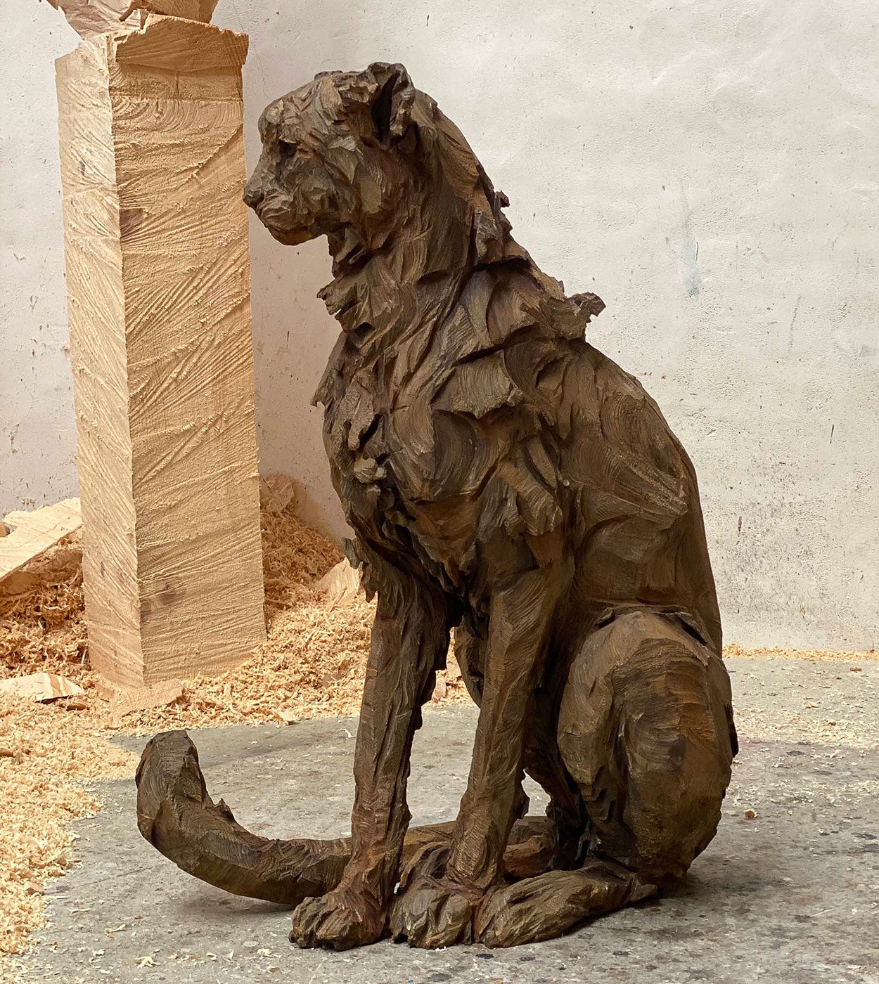Jürgen Lingl - Sitting Cheetah