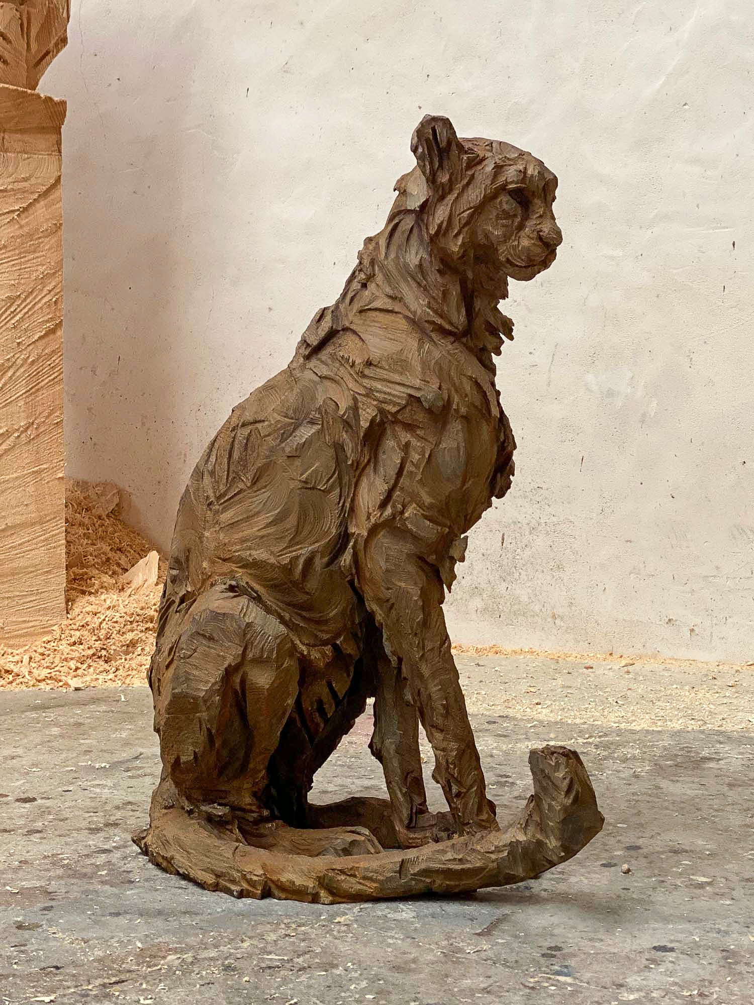 Jürgen Lingl - Sitting Cheetah