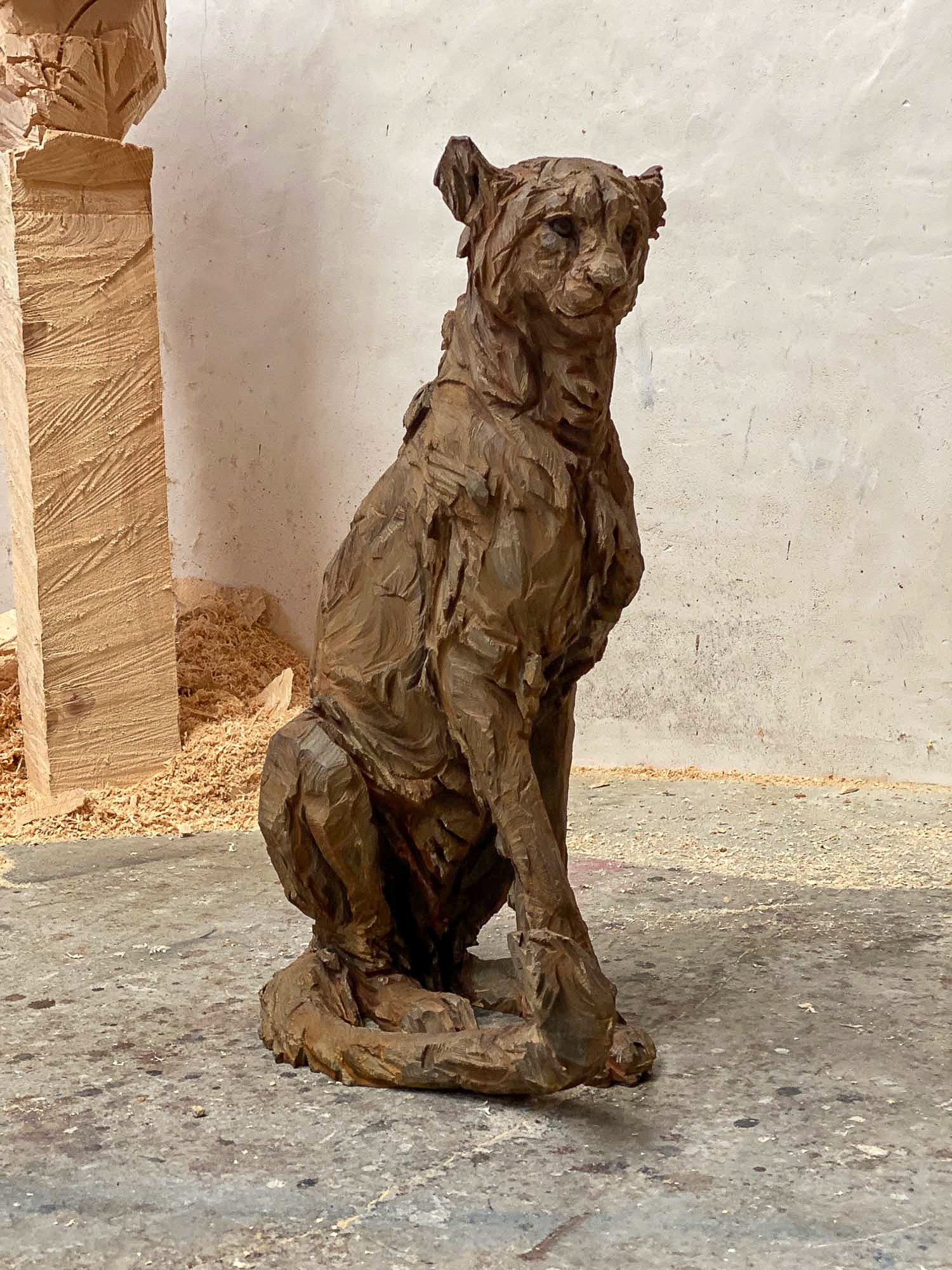 Jürgen Lingl - Sitting Cheetah