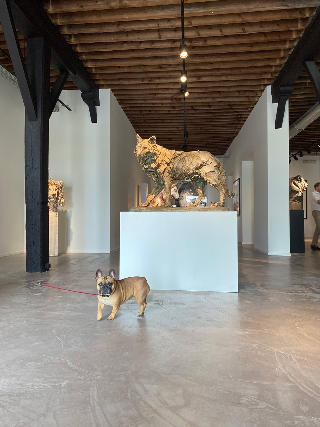Leonhard's Gallery June 2023 (6)