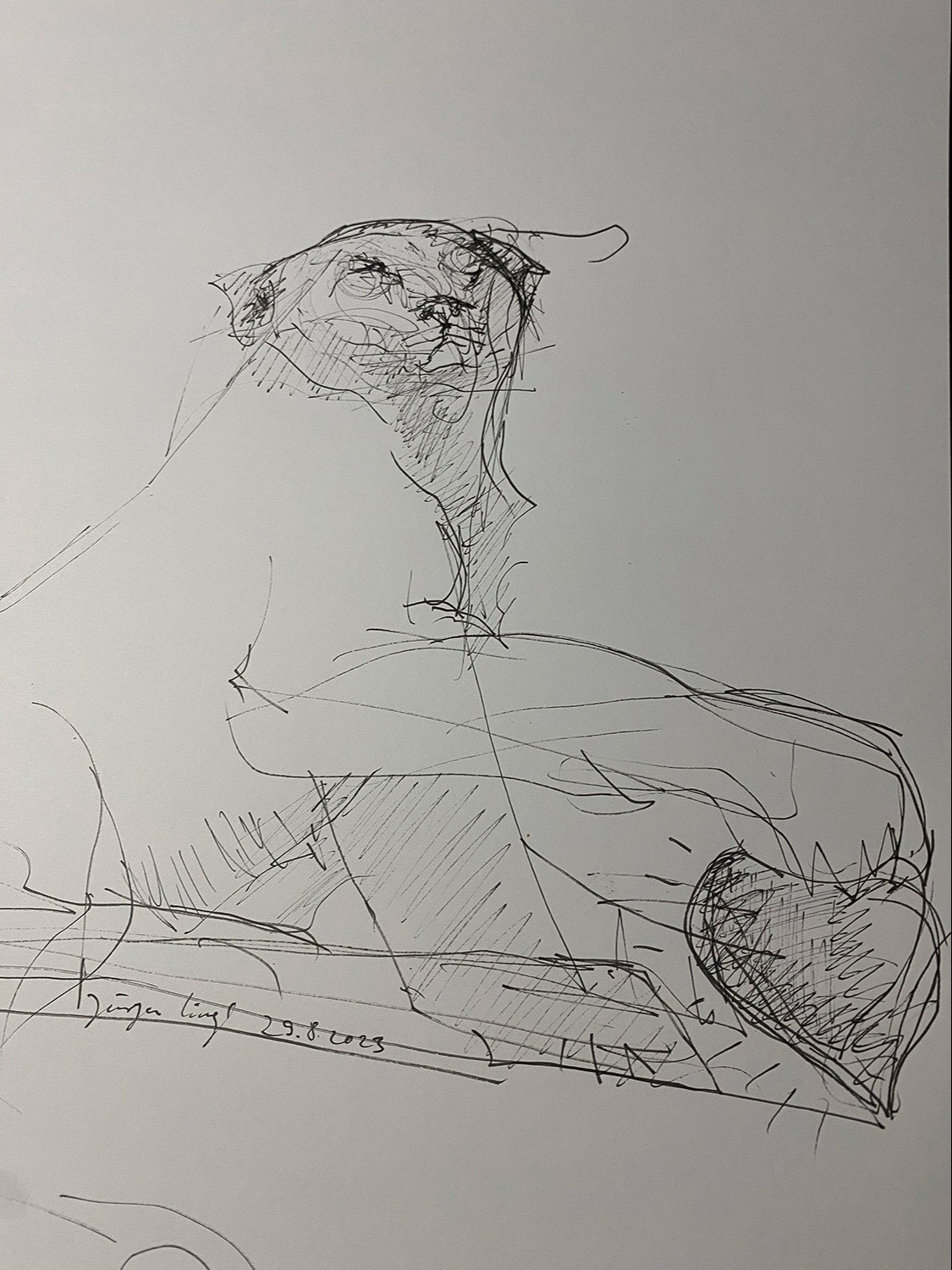 Untitled Drawing 2023 (7)