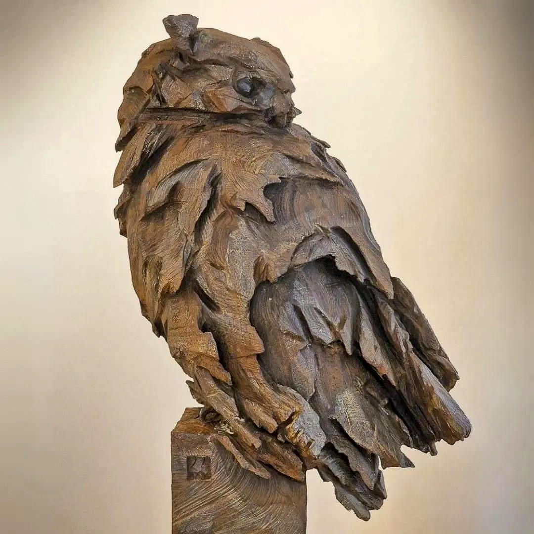 Jürgen Lingl - Hibou