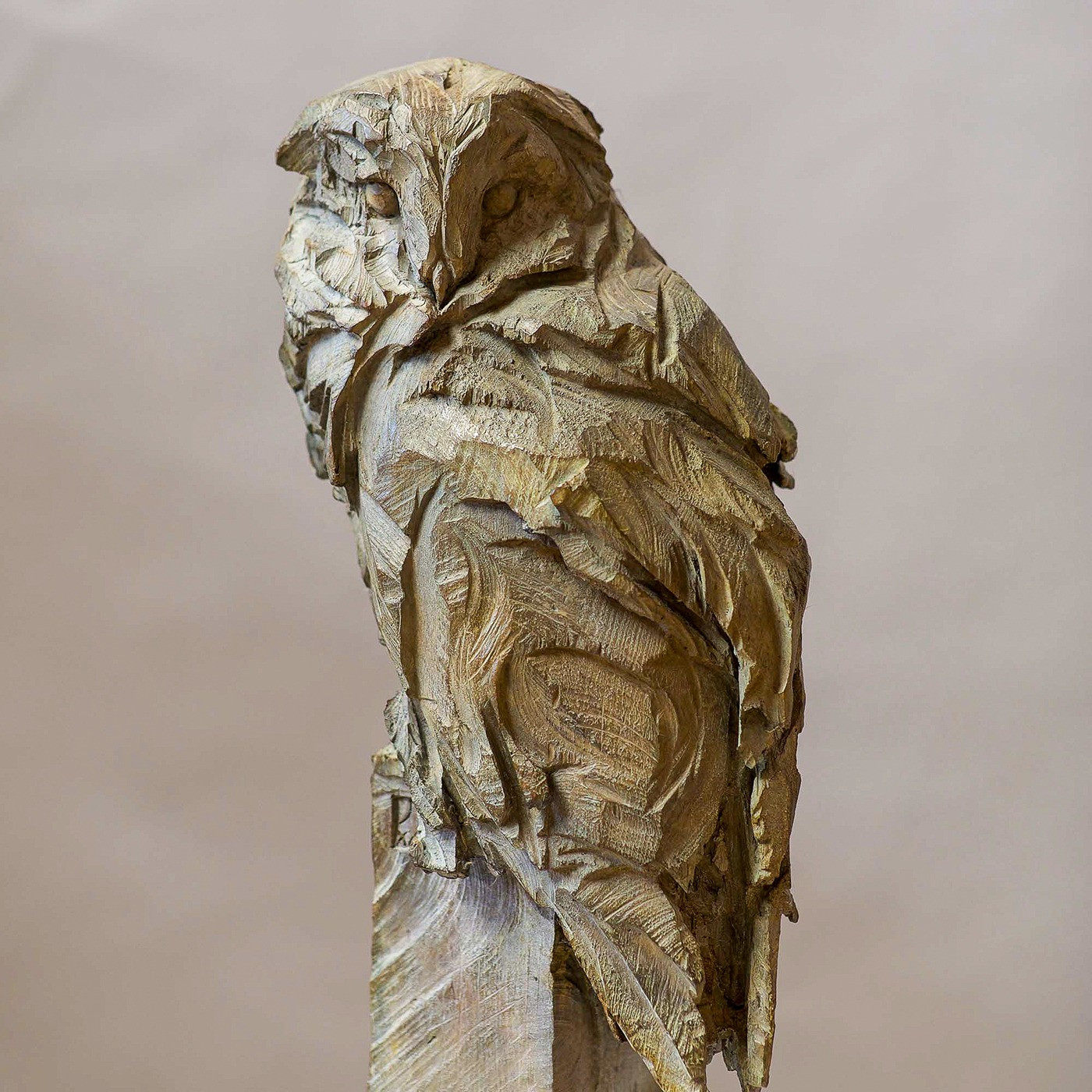 Jürgen Lingl - Chouette Effraie