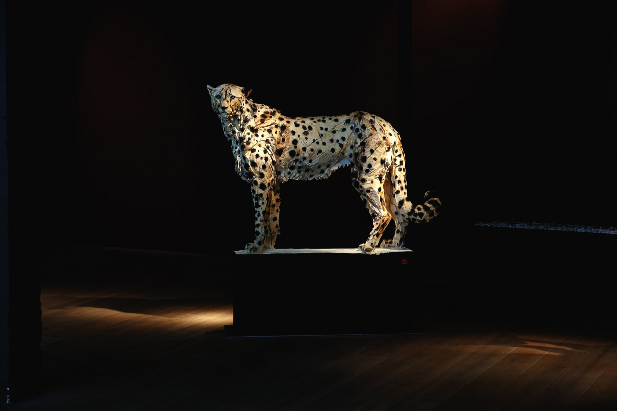 Untitled - Standing Cheetah