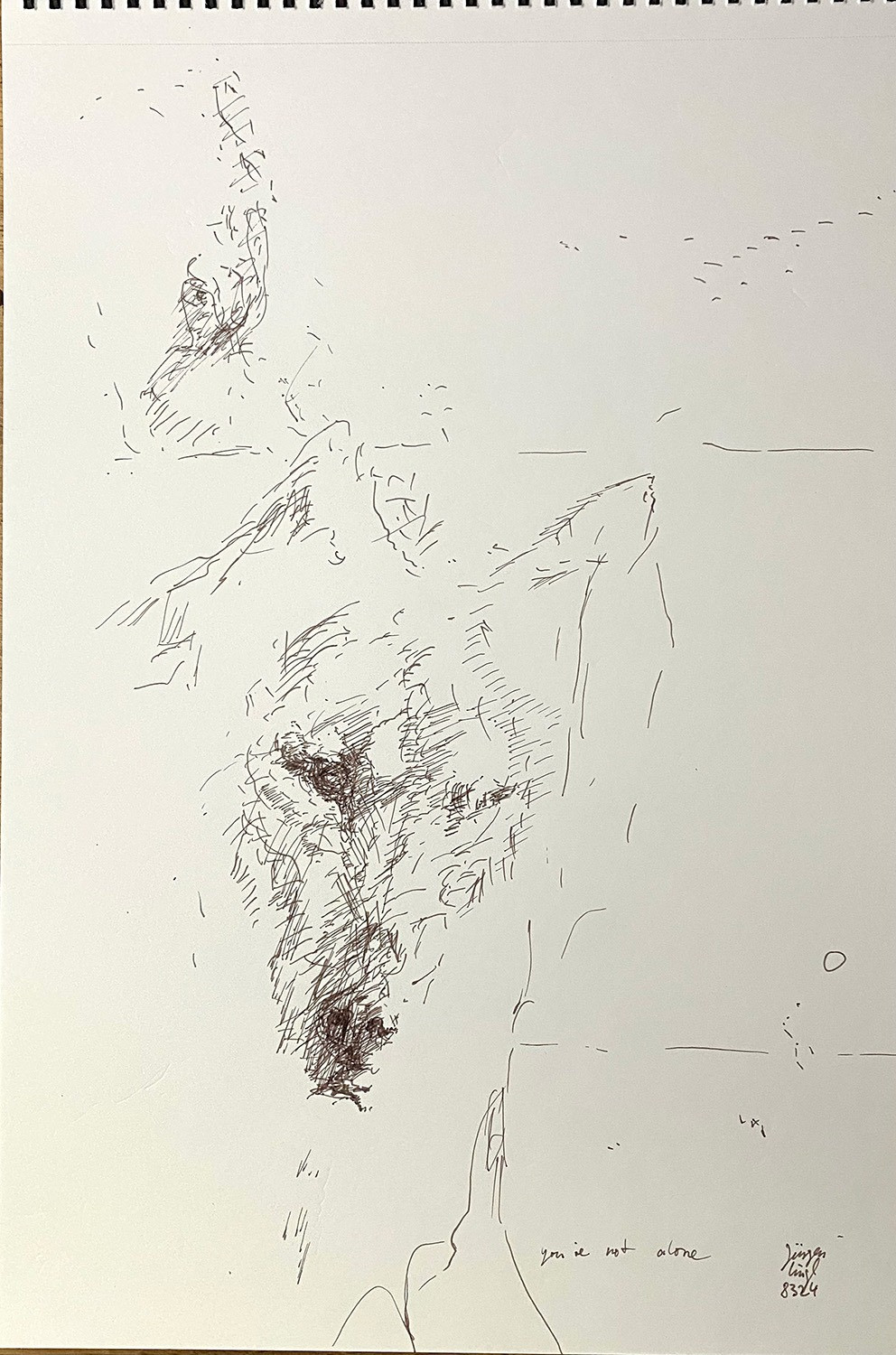 Untitled Drawing 2024 (19)
