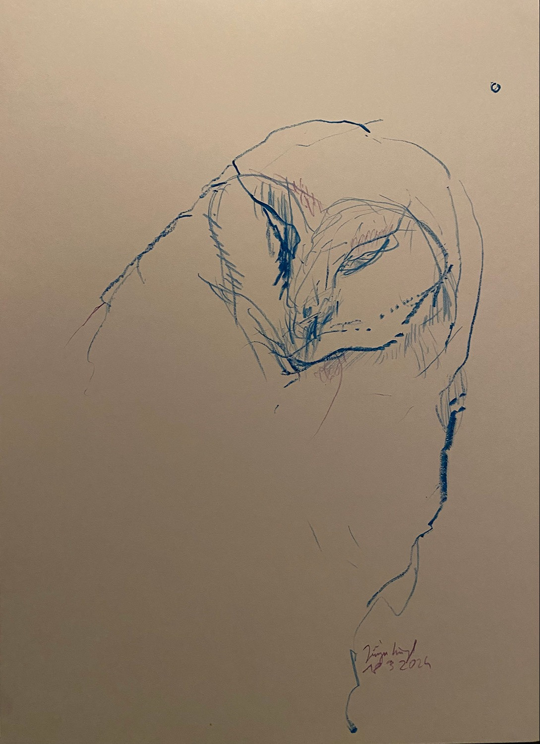 Untitled Drawing 2024 (36)