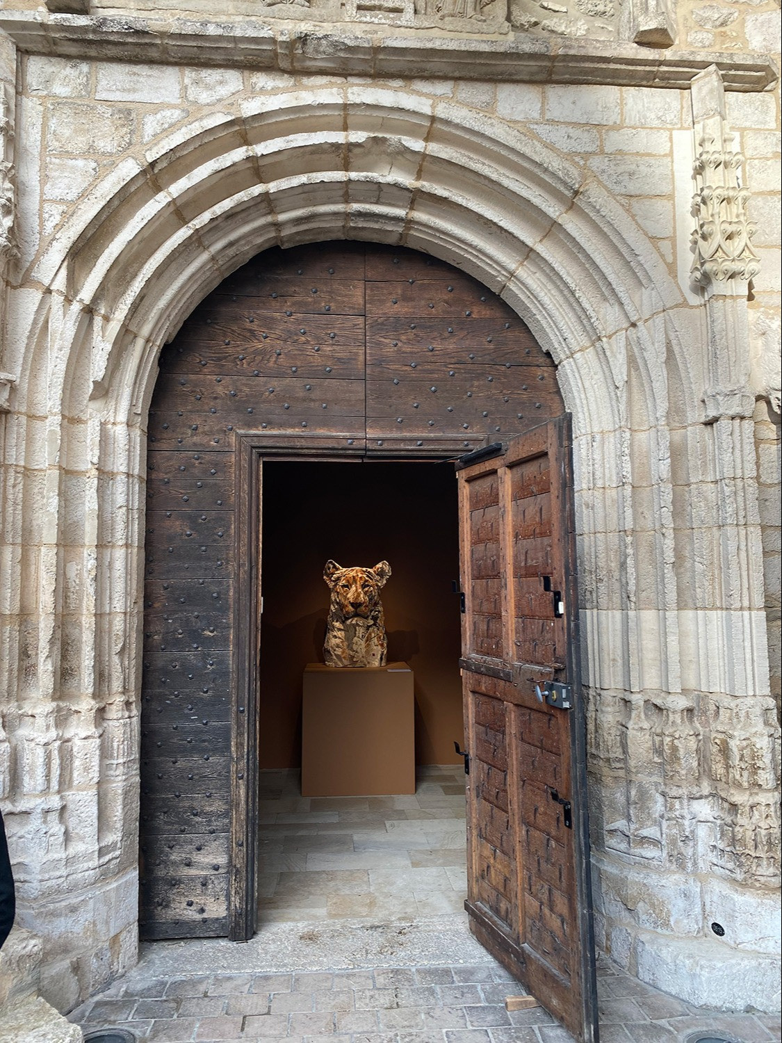 Group Exhibition Sauvage (5)