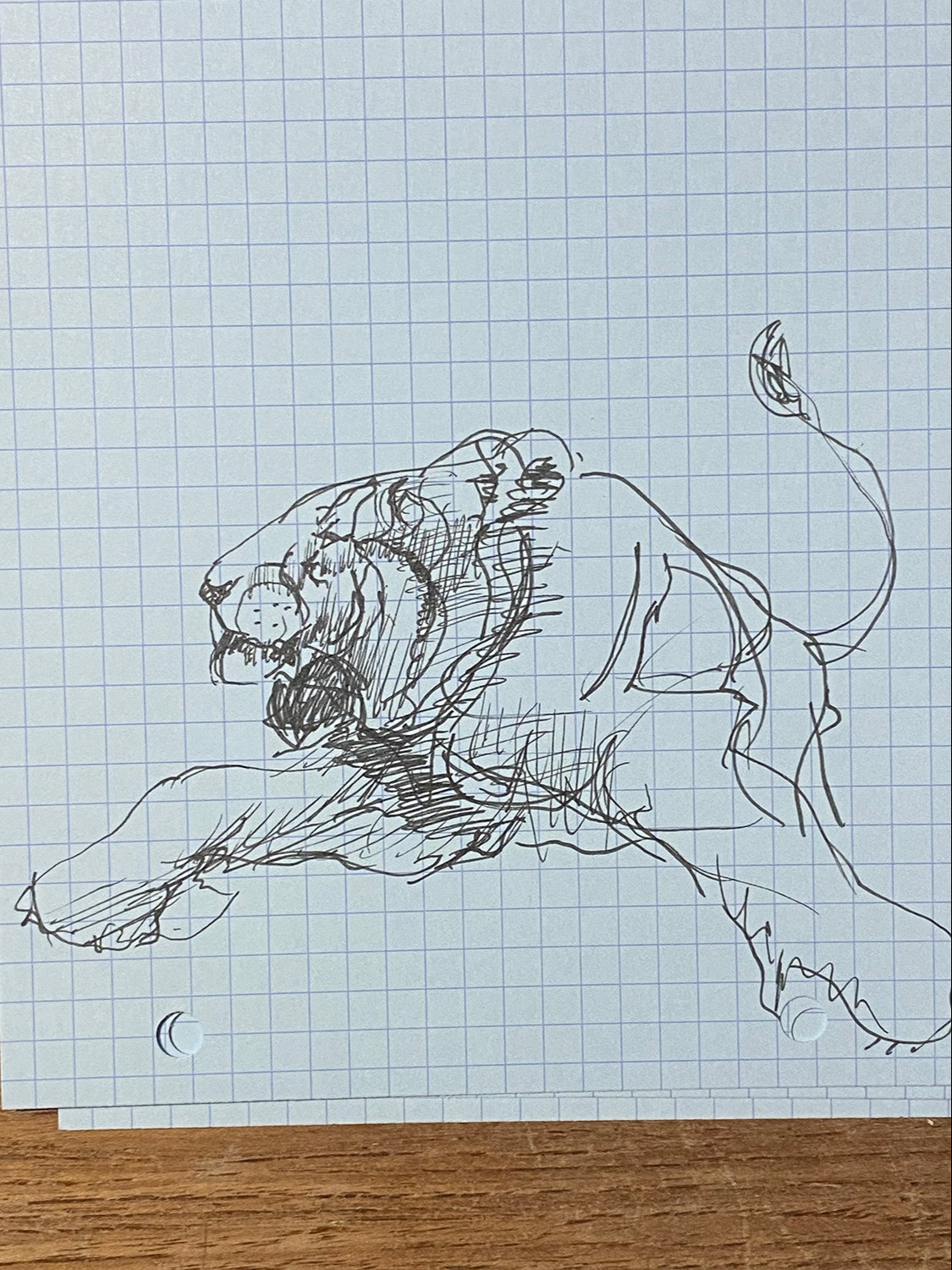 Untitled Sketch 2023 (1)