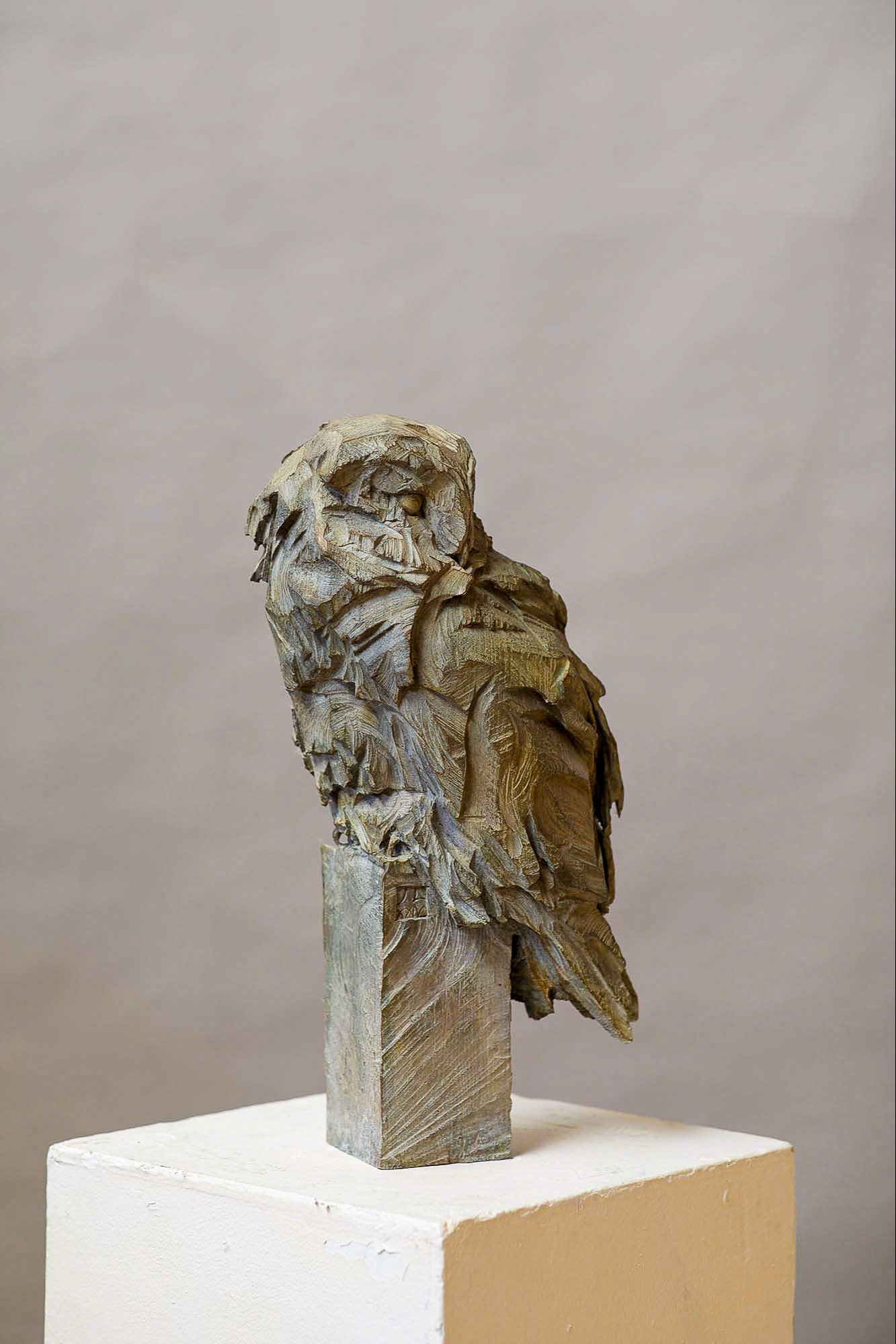 Jürgen Lingl - Chouette Effraie
