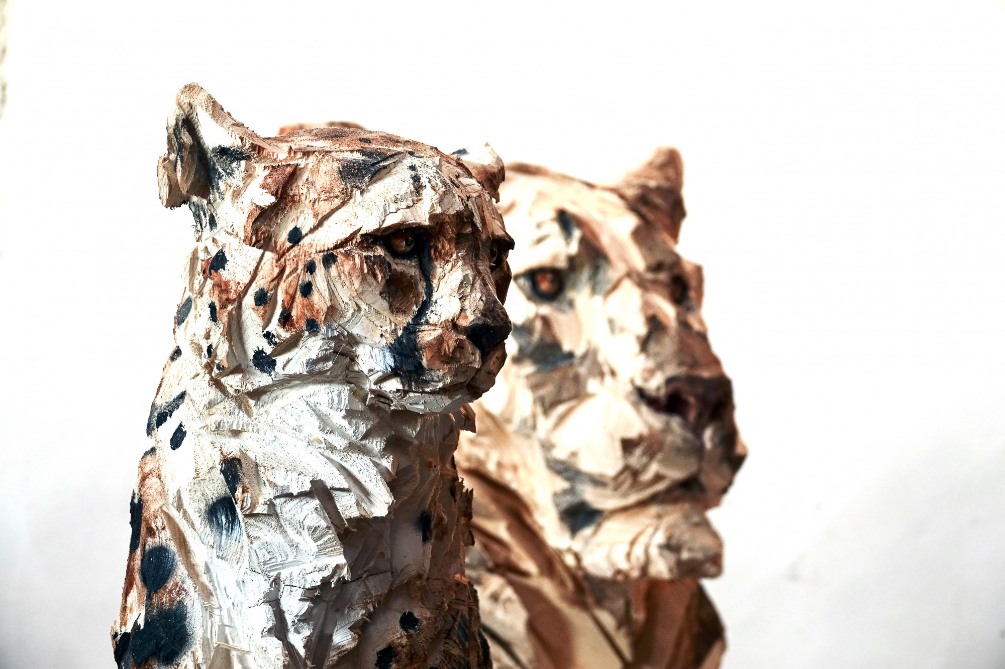 Untitled - Cheetah (2)