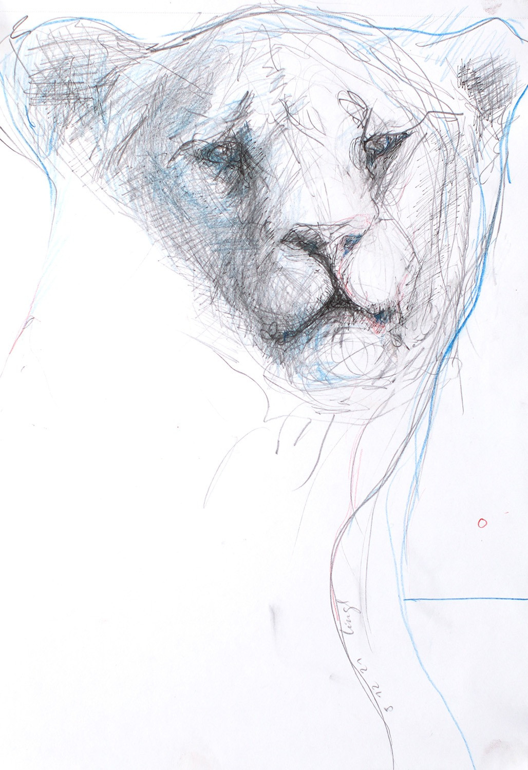Untitled Drawing 2021 (11)