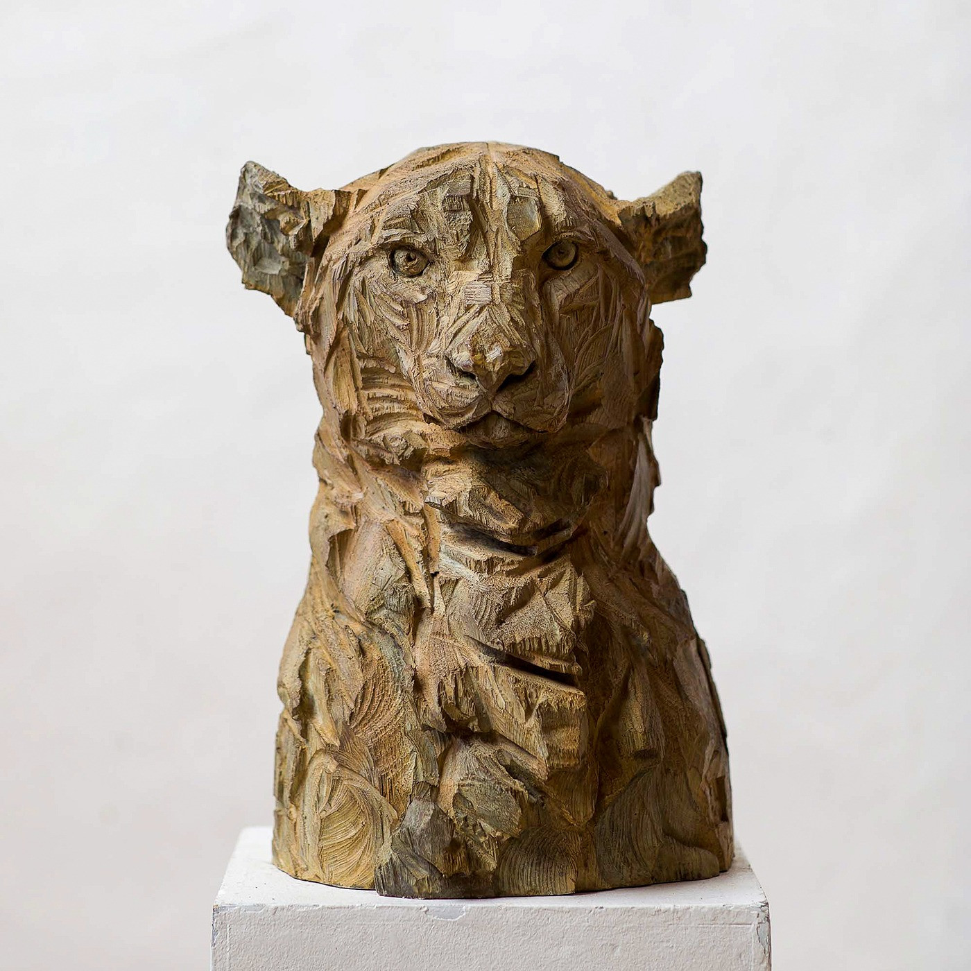 Jürgen Lingl - Guépard