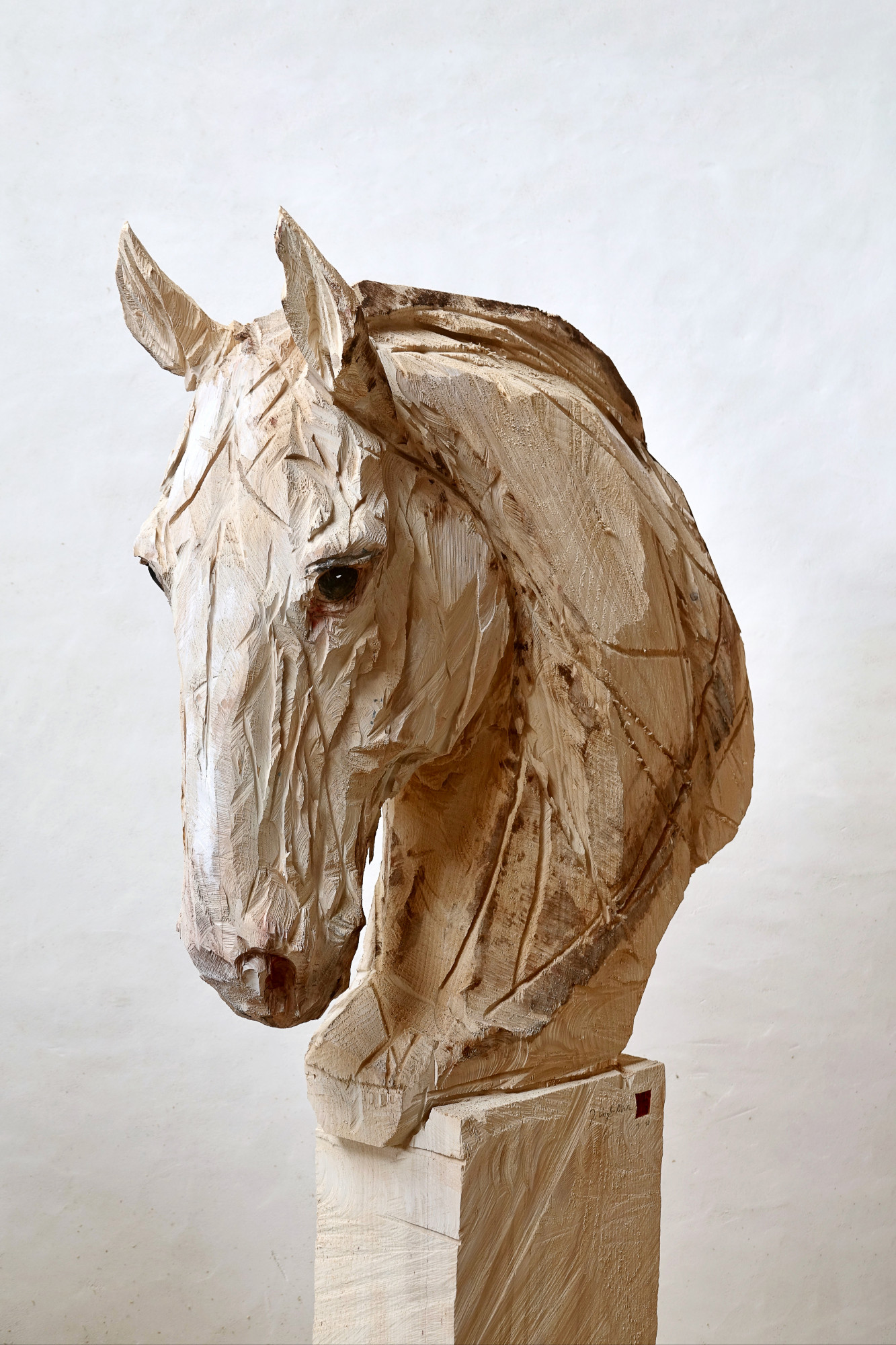 Untitled - Horse 1 (1)
