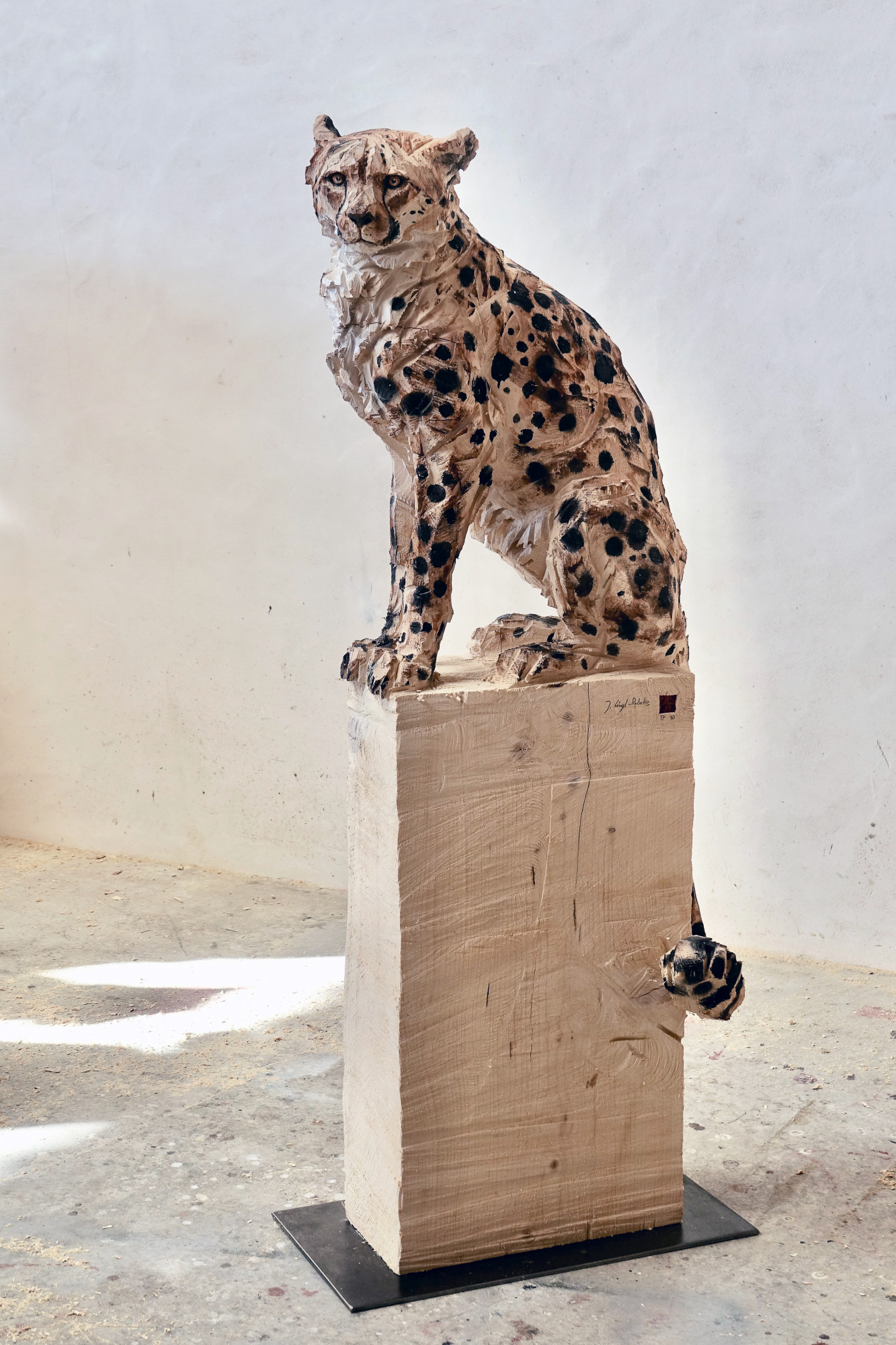 Untitled - Cheetah (1)