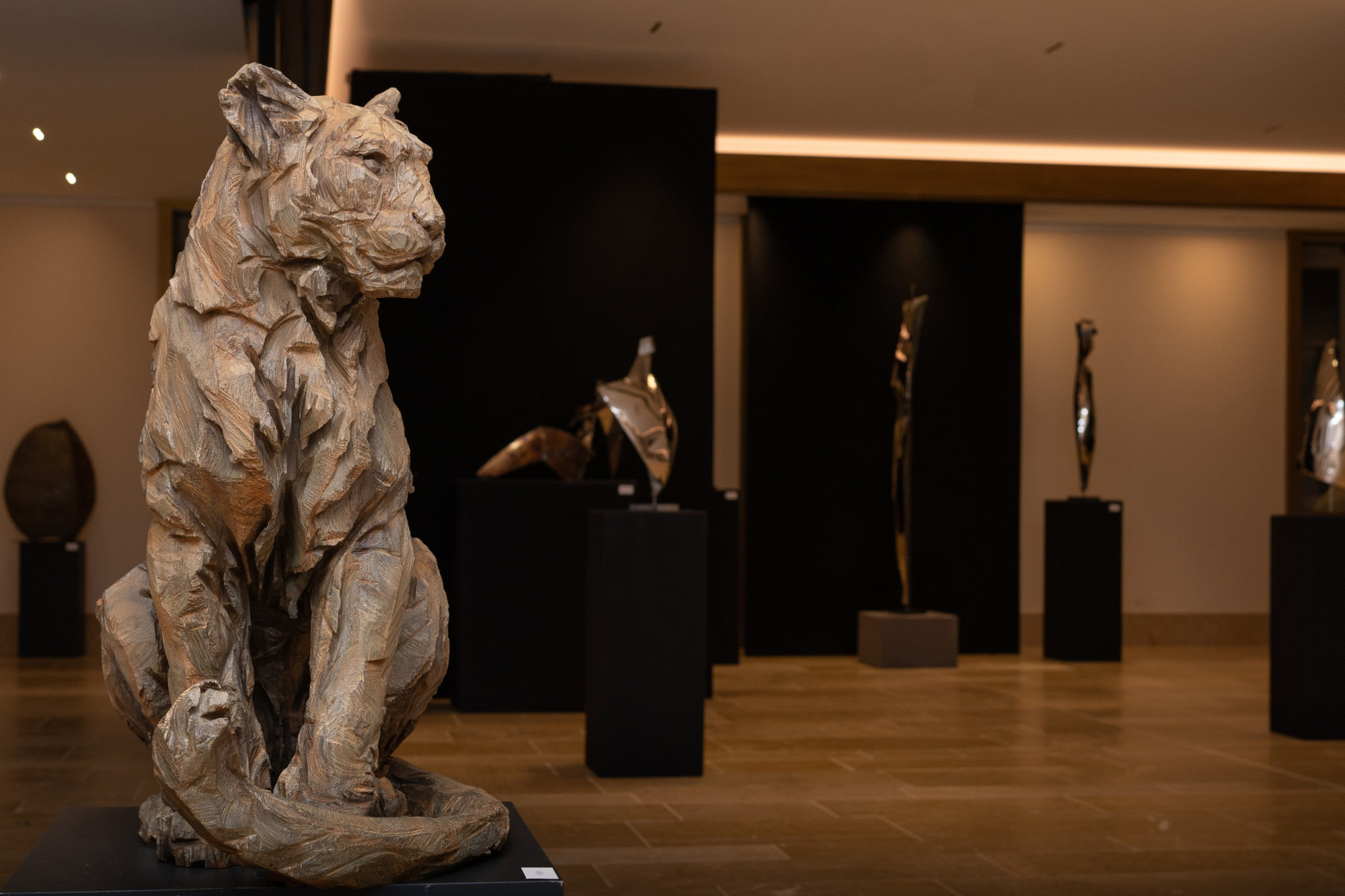 Galerie Platini December 2022 (2)