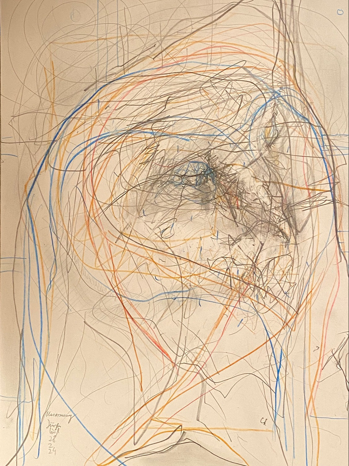 Untitled Drawing 2024 (15)