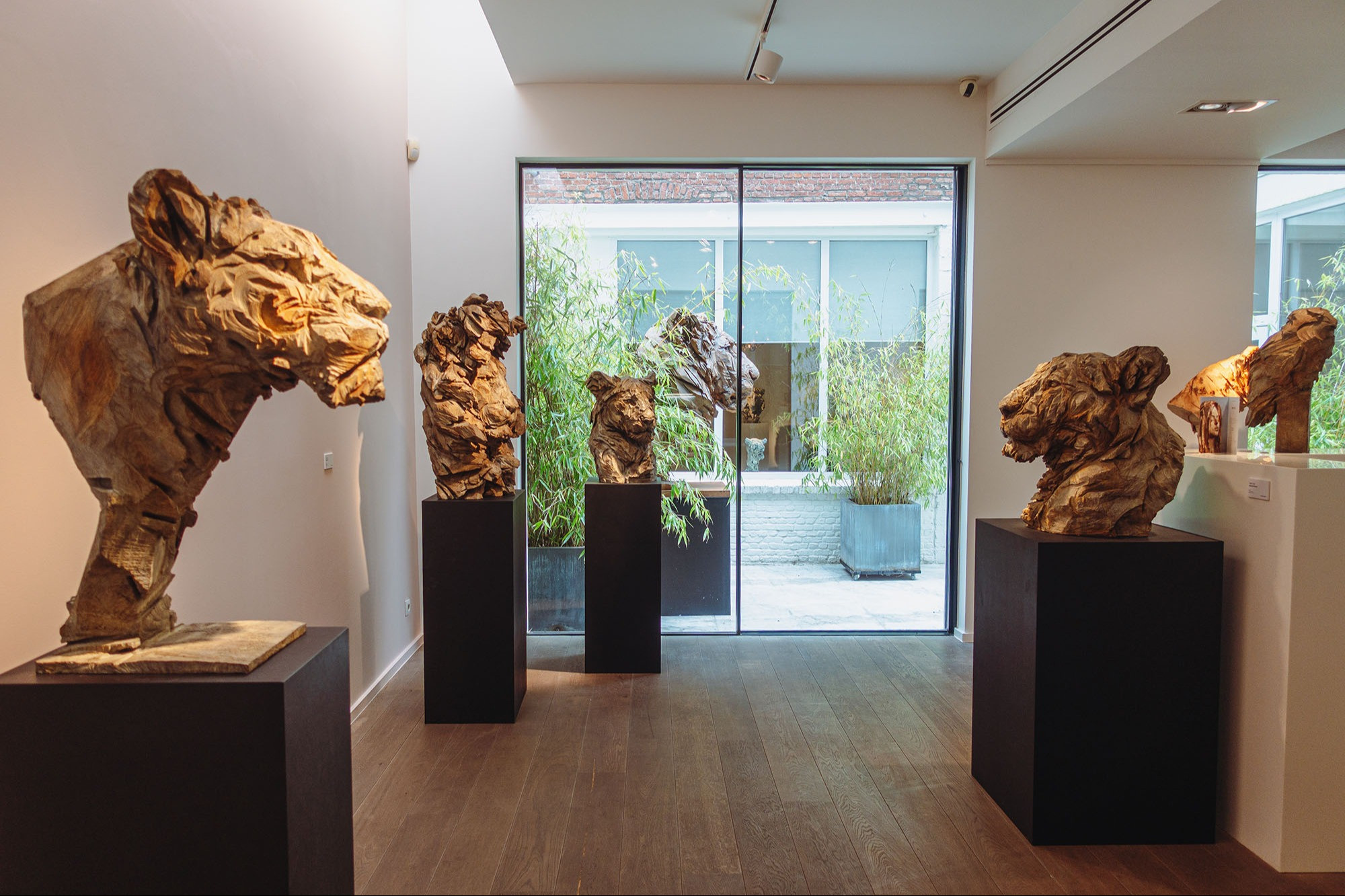 Leonhard's Gallery June 2025