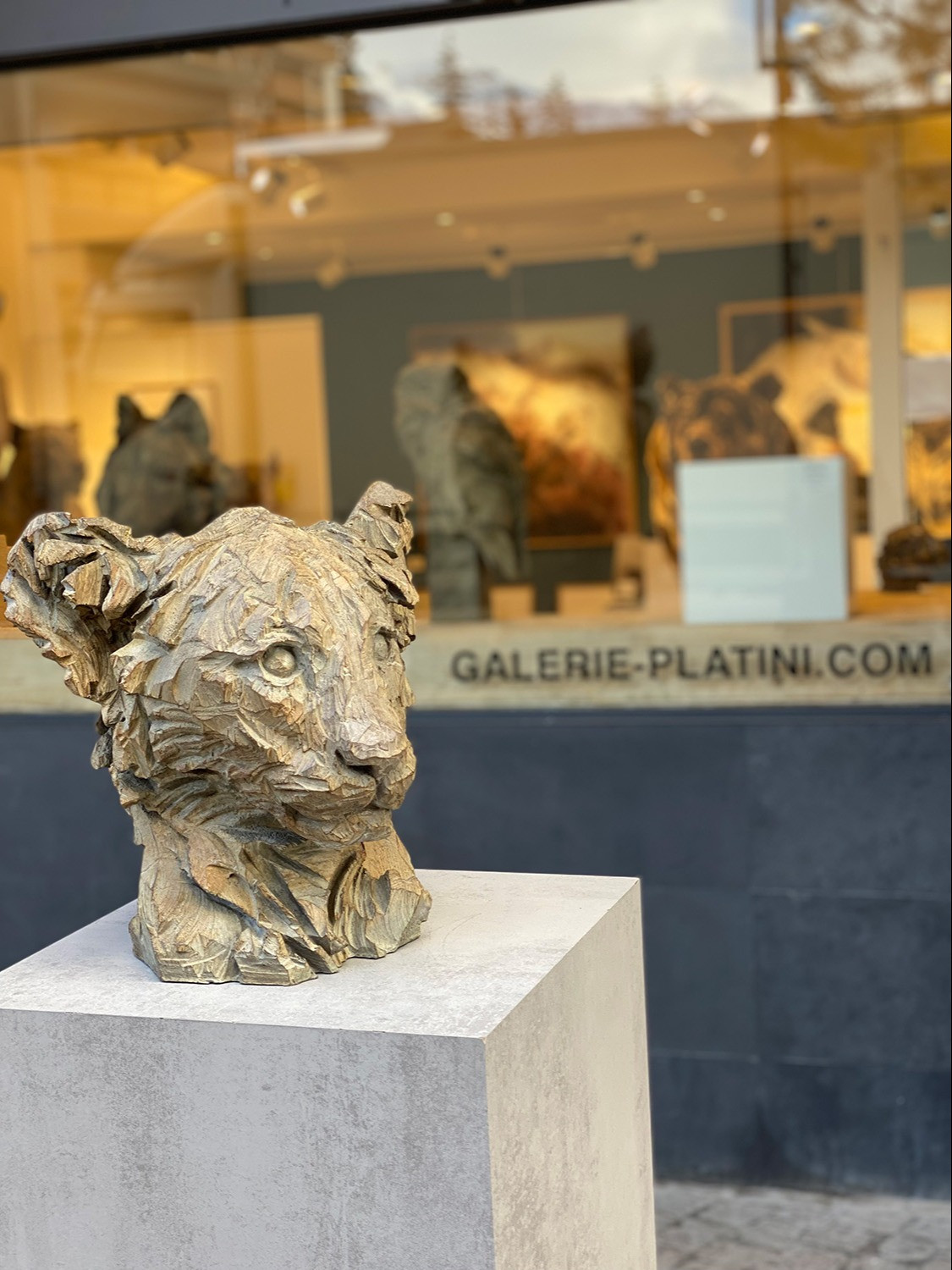 GaleriePlatiniFebruary2025(8)