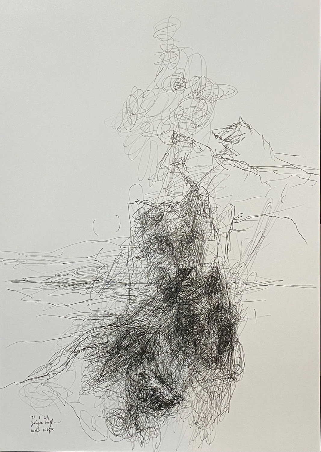 Untitled Drawing 2024 (28)