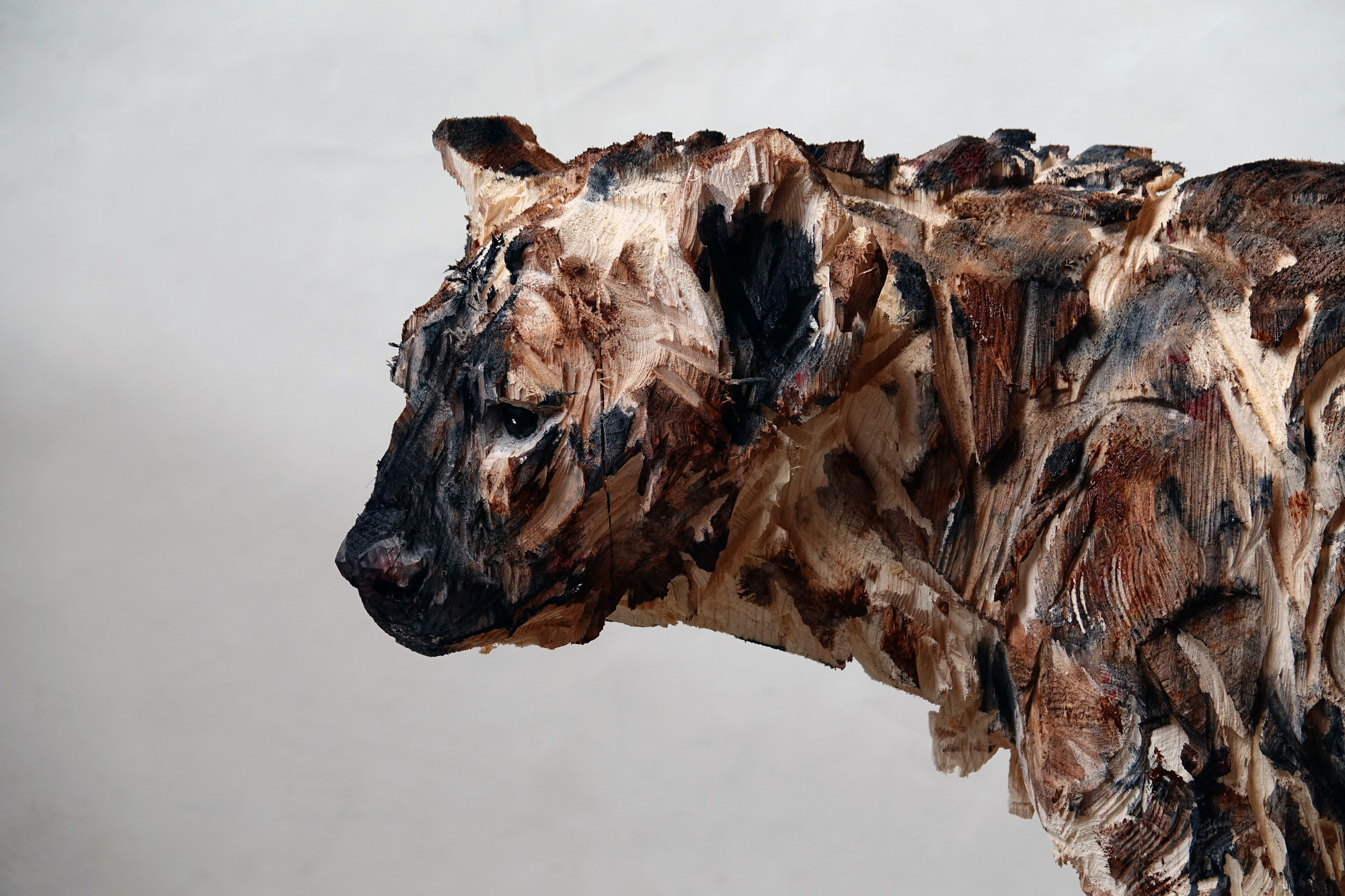 Untitled - Hyena (1)