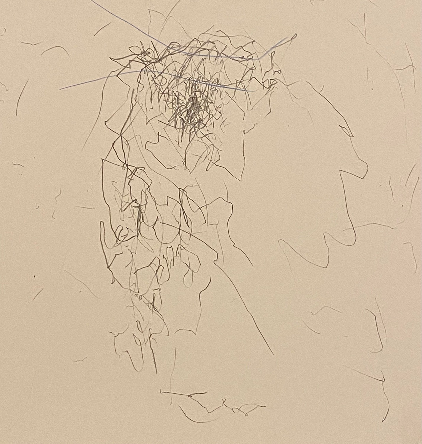 Untitled Drawing 2024 (1)