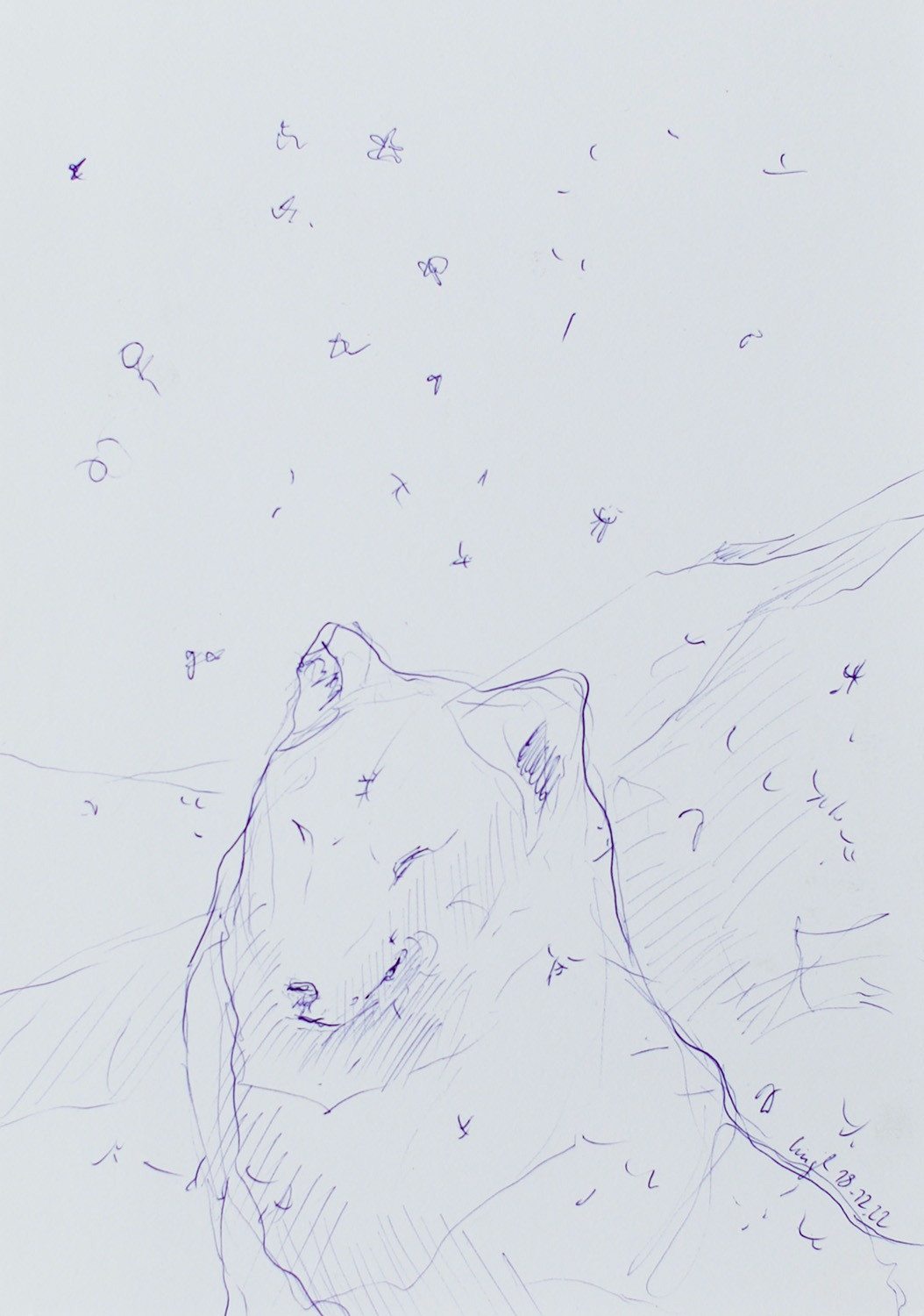 Untitled Drawing 2022 (3)